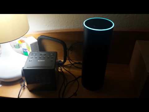 Alexa, Do You Work For the Government?