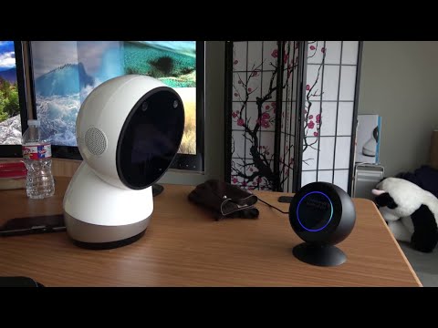 Face Off: Jibo versus Alexa (Echo Spot)