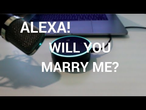 Asking Alexa Some Stupid Questions
