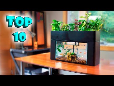 Top 10! New Tech Aliexpress & Amazon. Amazing Gadgets 2019 | Cool Products